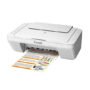 Impresora A Color Multifunción Canon Pixma Mg2410