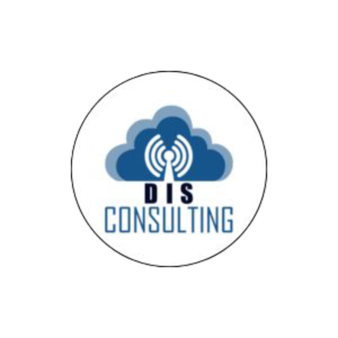 dis-consulting.com