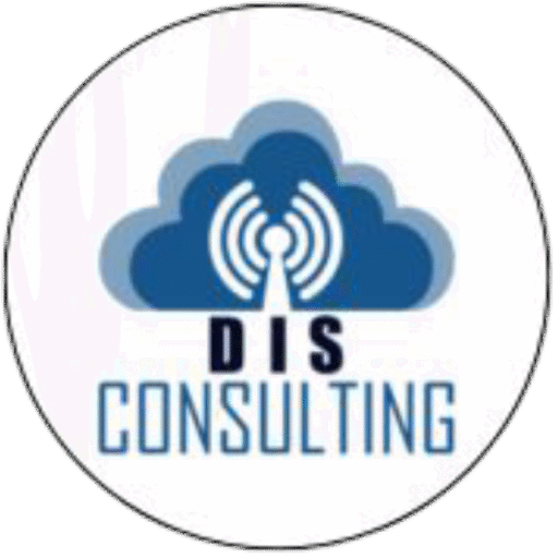 dis-consulting.com