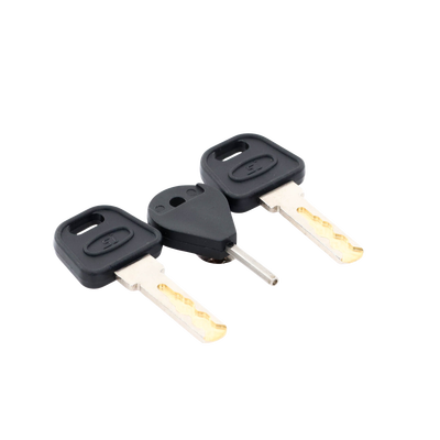 Llave HIKVISION 190614039 de Puerta de Estación de Panico DS-PEA3M-21 / DS-PEA3M-21H (Repuesto) - Image 3