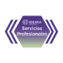 REMOTE ASSISTANCE JUNIOR 4 HORAS