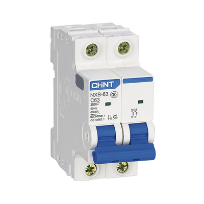 Pastilla para Riel Din, 2 Polos, 20 Amp, Vca:110/415v, 6kA, Catálogo: NXB632PC20, Serie: NXB-63. - Image 2