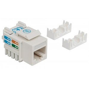 Intellinet Jack Categoría 6, RJ-45, Blanco DE IMPACTO BLANCO – Intellinet