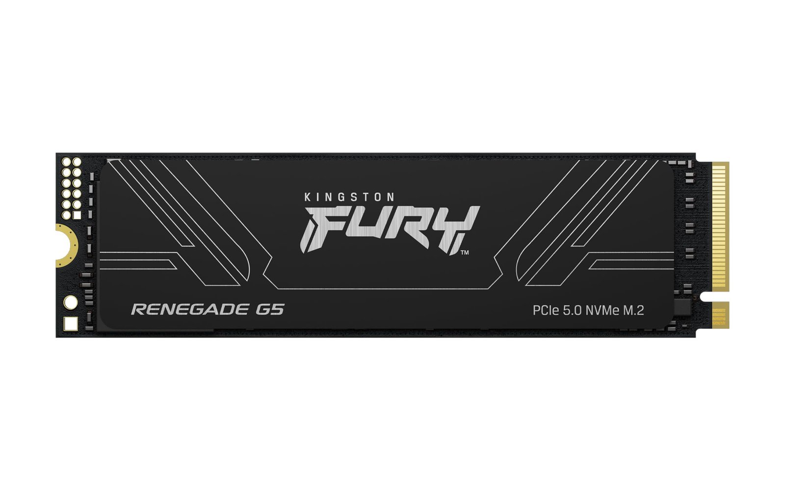 SSD INTERNO KINGSTON FURY RENEGADE NVMe 1TB PCI EXPRESS 5.0 M2 SSD SFYRS2 1T0